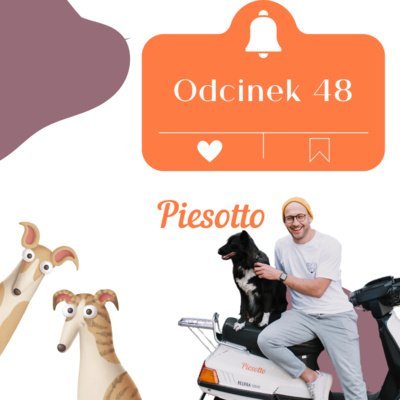 #48 O tym jak powinien wyglądać psi posiłek z Piesotto - Psie Sprawy - podcast Wójcicka Milena