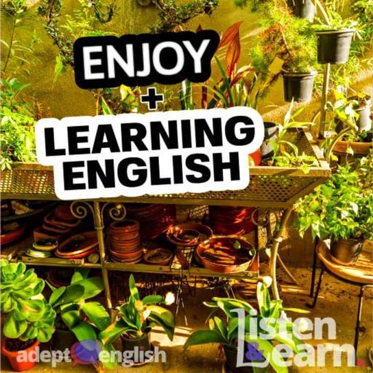#481 Get Better At English The Easy Way With English Listening Practice Opracowanie zbiorowe