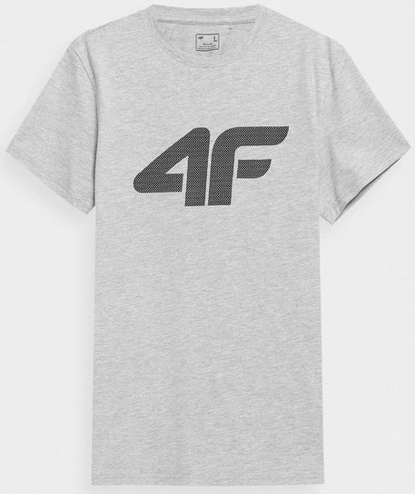 4F, T-shirt z nadrukiem męski, 4FSS23TTSHM537-27M, Jasny Szary, rozmiar L 4F