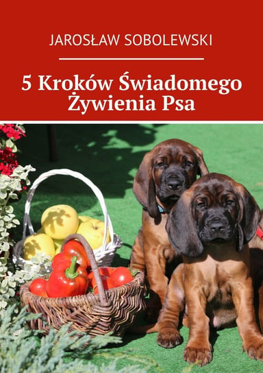 5 Kroków Świadomego Żywienia Psa Sobolewski Jarosław