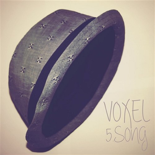 5. song Voxel
