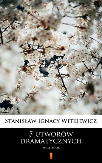 5 utworów dramatycznych Witkiewicz Stanisław Ignacy