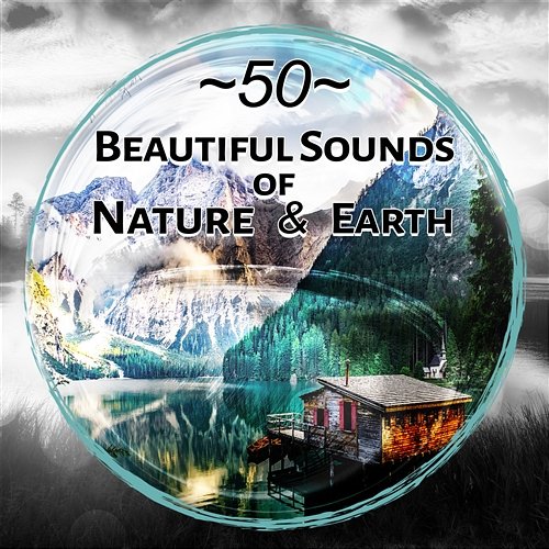 50 Beautiful Sounds of Nature & Earth: New Age Music, Healing Water Affirmations, Heavenly Relaxation, Meditation, Yoga, Calming Sea Sound, Rain for Deep Sleep, Serenity & Massage Music Healing Power Natural Sounds Oasis