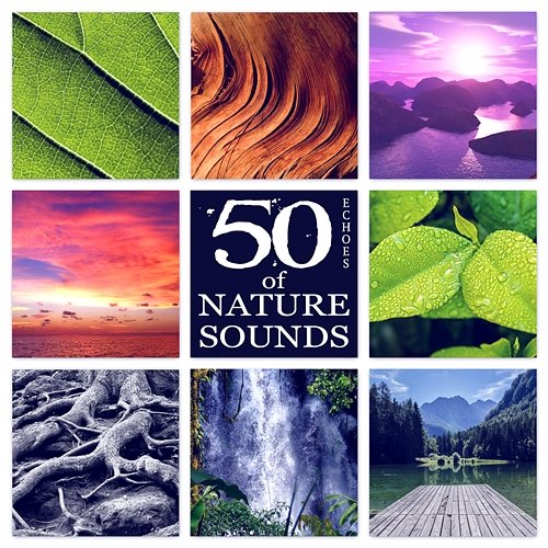 50 Echoes of Nature Sounds - The Best Relaxing New Age Music in the Universe for Contemplations & Reflections Affirmations Music Center