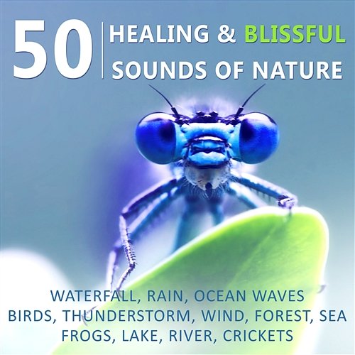 50 Healing & Blissful Sounds of Nature: Waterfall, Rain, Ocean Waves, Birds, Thunderstorm, Wind, Forest, Sea, Frogs, Lake, River, Crickets Sound Therapy Masters