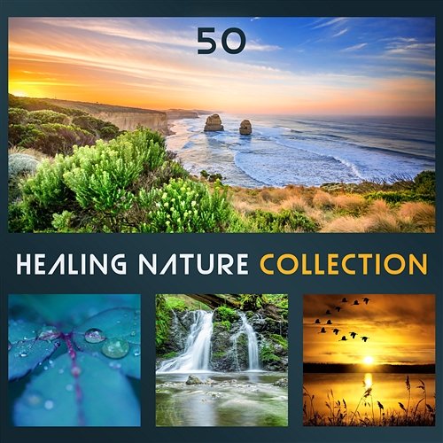 50 Healing Nature Collection: Soothing Sound of Nature for Relaxation, Meditation, Concentration, Deep Sleep & Wellbeing Relaxing Nature Sounds Collection