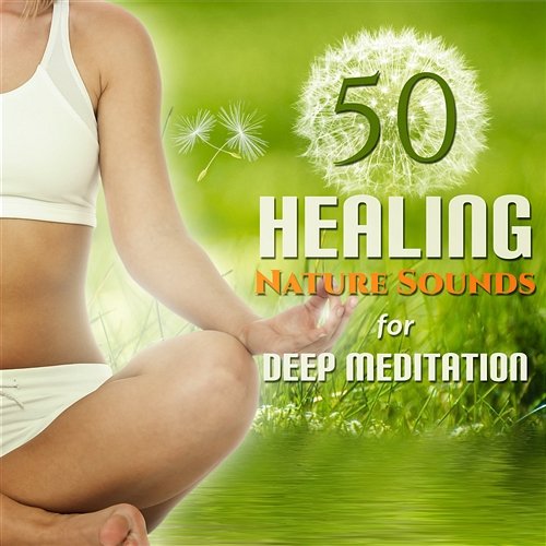 50 Healing Nature Sounds for Deep Meditation: Guided Yoga Exercises & Mindfulness, Chakra Healing, Asian Spa Massage, Yoga Poses, Stress Relief, New Age Music for Soothe Your Soul, Aid Sleep Soothing Music Collection