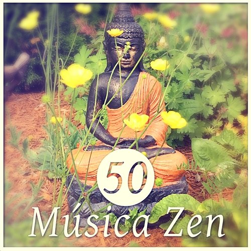 50 Música Zen: Sonidos para Ejercicios de Meditación, Terapias de Relajacion, Pensamiento Positivo, Clases de Yoga y Reiki Relajación Música Fondo Conjunto