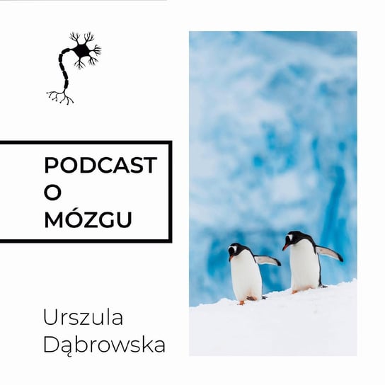 #50 Przyjaźń na Zdrowie - Podcast o mózgu - podcast Dąbrowska Urszula