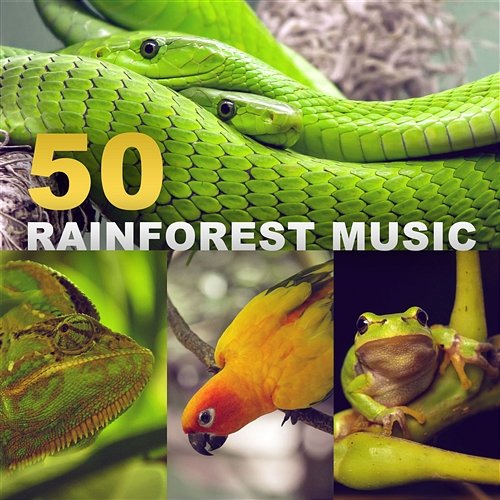 50 Rainforest Music: Tropical Sounds of Nature, Peace of Mind, Deep Meditation, Better Sleep, Zen Relaxation (Exotic Birds, Frogs, Rain, Crickets, River, Wind) Zen Soothing Sounds of Nature