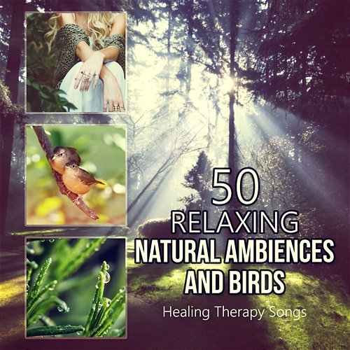 50 Relaxing Natural Ambiences and Birds: Healing Therapy Songs for Yoga Meditation, Music for Spa, Massage, Soothing Sounds for Sleep Sound Effects Zone