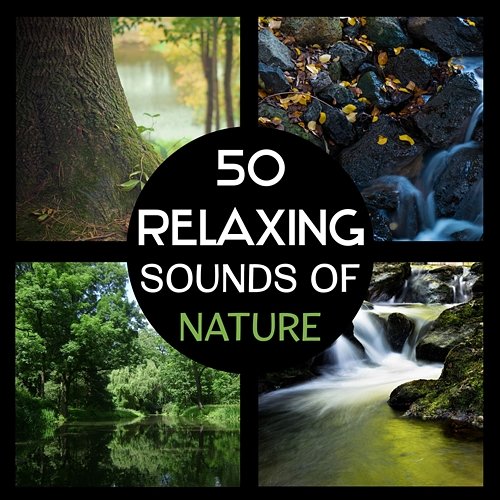 50 Relaxing Sounds of Nature – Sounds of Rain and Waterfall, Meditation in the Forest, Yoga in Nature, Calming and Soothing Natural Sounds for Sleep Various Artists