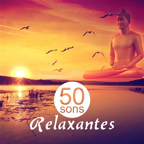 50 Sons Relaxantes: Cura Sons de Meditação e Yoga, Paz Interior e Serenidade, Musicoterapia para Problemas de Sono Meditação e Espiritualidade Musica Academia