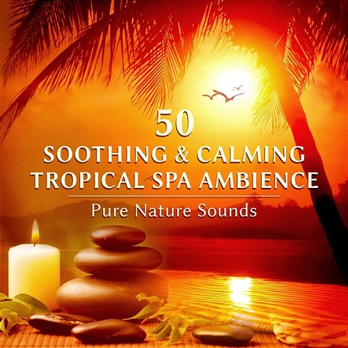 50 Soothing & Calming Spa Ambience: Pure Nature Sounds, Wellness Center Healing Massage, Inner Peace, Relaxation Meditation, Reiki Massage Music Relaxation Meditation Songs Divine