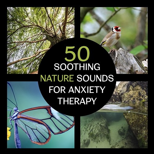 Therapeutic Wind in the Trees Serenity Nature Sounds Academy