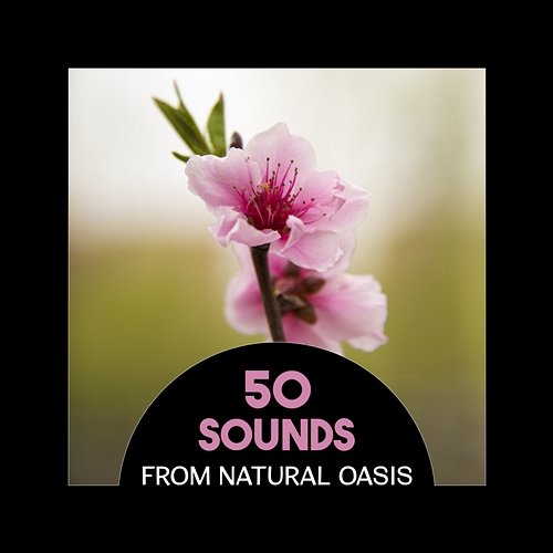 50 Sounds from Natural Oasis - Perfect Quietness of Nature, Relax in the Green Space, Forever Zen and Mindfulness, Anxiety Stress Free Various Artists