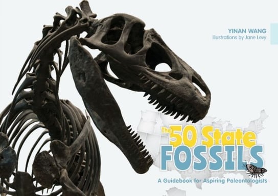 50 State Fossils Wang Yinan