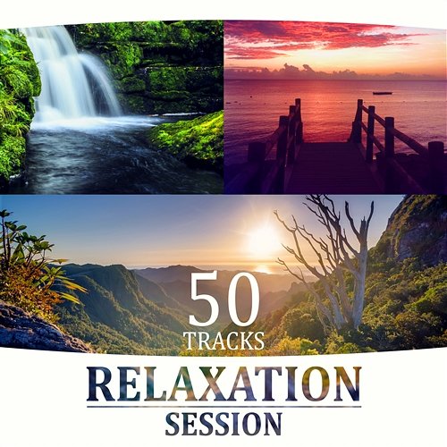 50 Tracks Relaxation Session - Healing Sounds of Nature for Meditation, Yoga & Reiki, Music Therapy to Soothe Your Soul Serenity Music Relaxation
