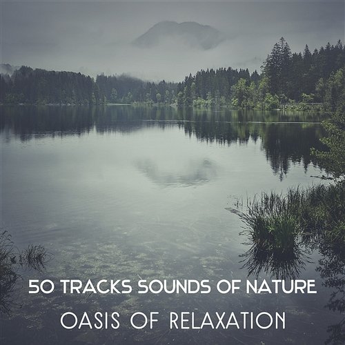 50 Tracks Sounds of Nature: Oasis of Relaxation – Reiki Healing and Buddhist Meditation, Connect with Nature, Self Hypnosis, Yoga for Core Strength Gentle Nature Sounds Ensemble