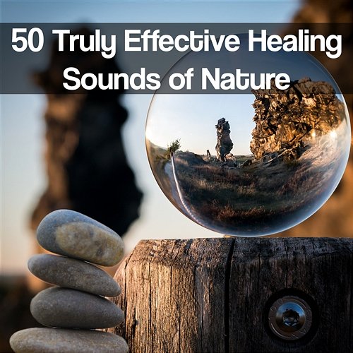 50 Truly Effective Healing Sounds of Nature: Most Relaxing Songs, Best Way to Fall Asleep, Body Internal Clock Set, Asian Meditation Music, Yoga & Spa Serenity, Healthy Lifestyle Music Various Artists