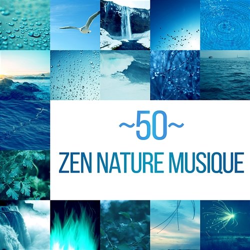 50 Zen nature musique - Bruits d'océan, Oiseaux, Forêt, Jardin, Grillons, Chute d'eau, Pluie, Went, Rivière, Vagues de mer, Feu Just Relax Music Universe