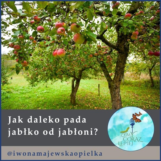 #529 Jak daleko pada jabłko od jabłoni? - Żyjmy Coraz Lepiej - podcast Kniat Tomek, Majewska-Opiełka Iwona