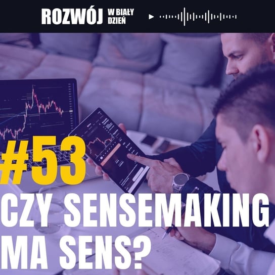 #53 Czy sensemaking ma sens? - Rozwój w Biały Dzień - podcast Kurcewicz Żaneta