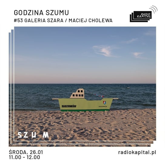 #53 Galeria Szara / Maciej Cholewa - Godzina Szumu - podcast Plinta Karolina