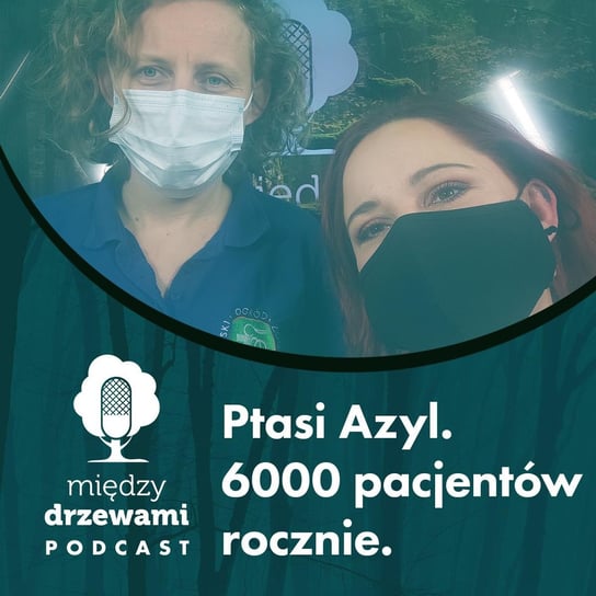 #54 Ptasi Azyl. 6000 pacjentów rocznie [dr Agnieszka Czujkowska] - Między drzewami - podcast Opracowanie zbiorowe