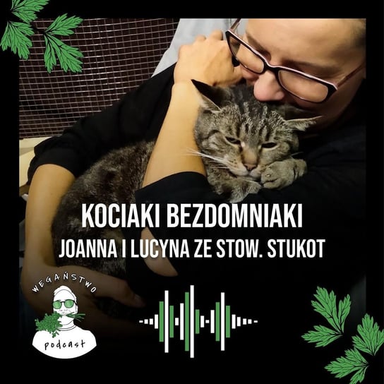 #58 Kociaki bezdomniaki. Joanna i Lucyna ze Stowarzyszenia Stukot - Wegaństwo - podcast Adrian Sosnowski