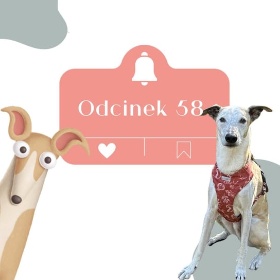 #58 O tym jak wybrać hotelik dla psa - Psie Sprawy - podcast Wójcicka Milena