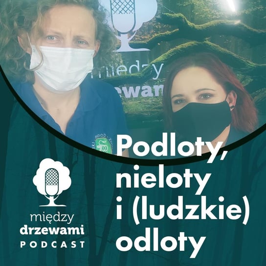 #59 Podloty, nieloty i (ludzkie) odloty [dr Agnieszka Czujkowska] - Między drzewami - podcast Opracowanie zbiorowe