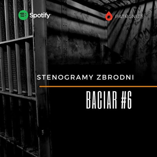 #6 BACIAR - kryminał, podcast, słuchowisko, antykryminał - Stenogramy zbrodni - podcast Wielg Piotr