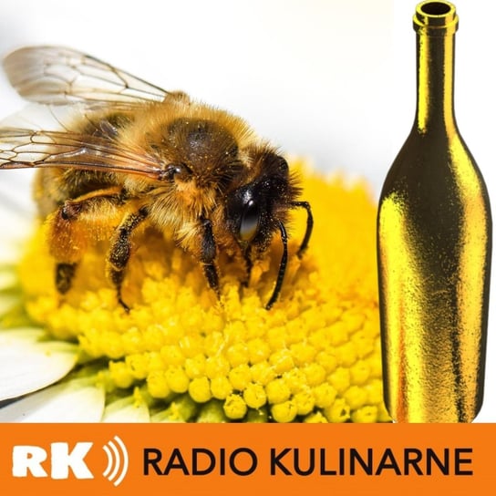 #63 10 rzeczy o miodach pitnych, o których może nie wiedzieliście a na pewno chcecie! Gość: Radosław Froń - Radio Kulinarne - podcast Dutkiewicz Wilczyński