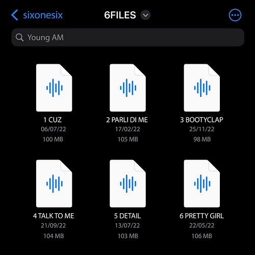 6FILES SixOneSix & Young AM