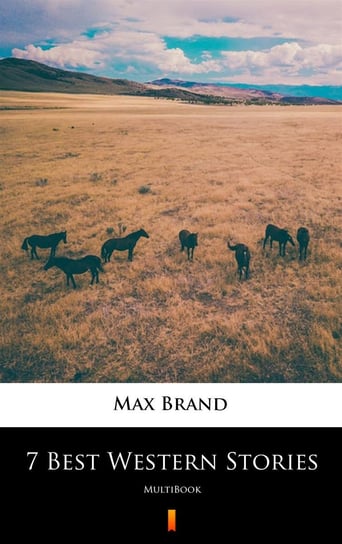 7 Best Western Stories Brand Max
