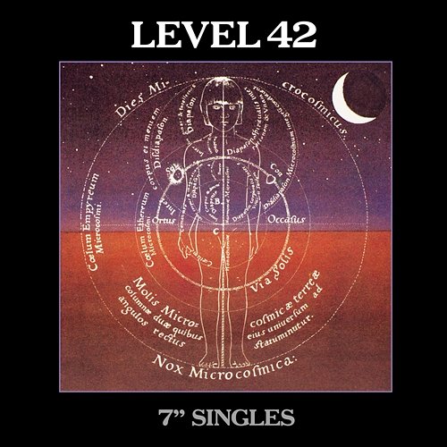 7" Singles Level 42