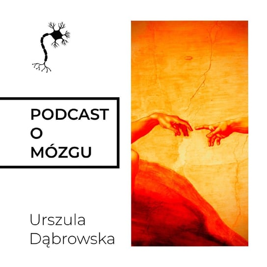 #7 Szałowe Płaty Czołowe - Podcast o mózgu - podcast Dąbrowska Urszula