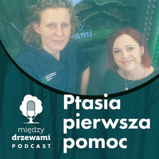 #70 Ptasia pierwsza pomoc [dr Agnieszka Czujkowska] - Między drzewami - podcast Opracowanie zbiorowe