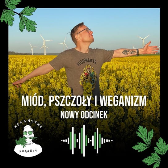 #71 Miód, pszczoły i weganizm - Wegaństwo - podcast - audiobook Adrian Sosnowski