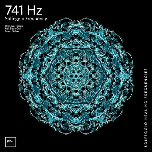 741 Hz Full Body Detox Miracle Tones & Solfeggio Healing Frequencies MT