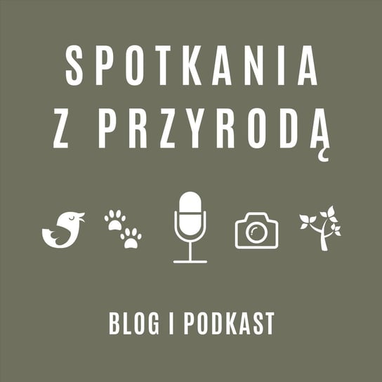 #77 Anna Maziuk - "Rozjaśnianie Przyrody" - Spotkania z przyrodą - podcast Stanecki Michał