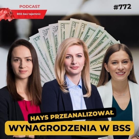 #772 Hayss przeanalizował wynagrodzenia w BSS - BSS bez tajemnic - podcast Doktór Wiktor