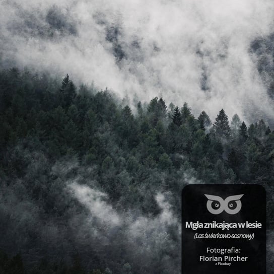 #8 Dlaczego mgła między drzewami znika? -  Opowiadania przyrodnicze dla dzieci, które ciągle pytają "dlaczego?" Bliżej Lasu - podcast Mróz Daniel