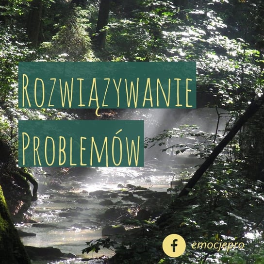 #8 Jak Rozwiązać Problem - emocje.pro - podcast - audiobook Fiszer Vivian