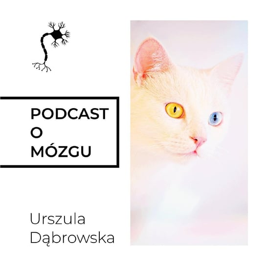 #8 Nagie Instynkty Cz.1 - Podcast o mózgu - podcast Dąbrowska Urszula