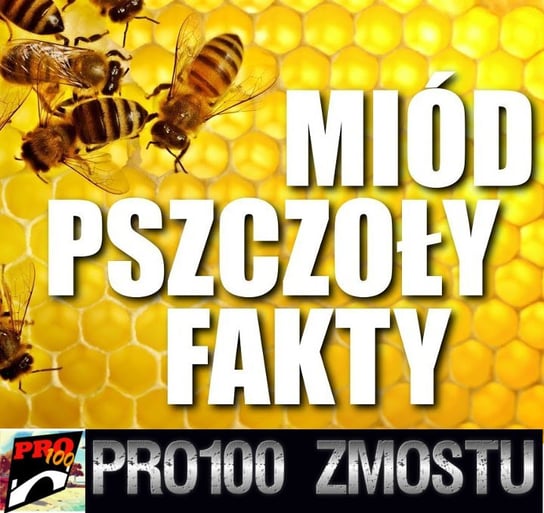 #83  Pszczoły i miód – fakty i ciekawostki - Pro100 Zmostu - podcast Sobolewski Michał
