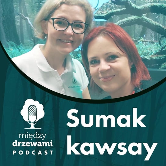 #84 Sumak kawsay. O idei zrównoważonego rozwoju [Barbara Rymaszewska] - Między Drzewami  - podcast Opracowanie zbiorowe