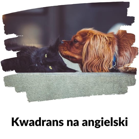 # 84 Zwierzęta domowe - Lekcja 84 - Kwadrans na angielski - podcast Marciniak Szymon