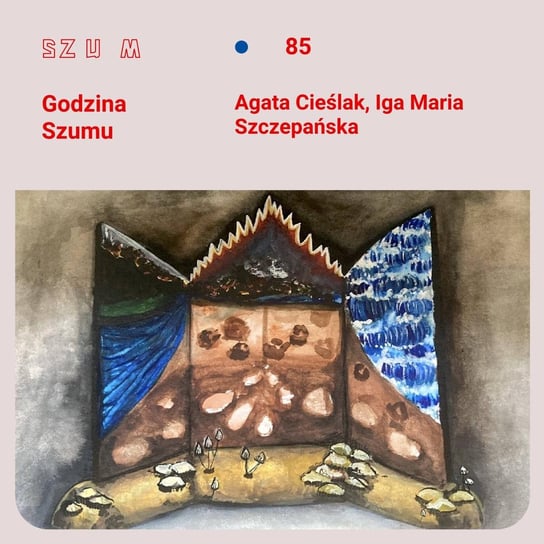 #85 Agata Cieślak, Iga Maria Szczepańska - Godzina Szumu - podcast Plinta Karolina